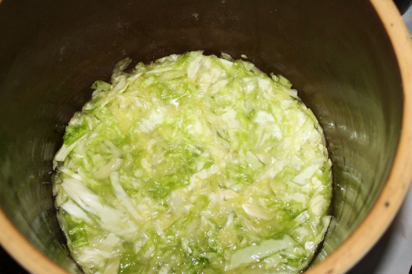 This is 15 lbs of cabbage after the salt is added and it is compressed. It fills less than a 1/3 of a five gallon crock. 