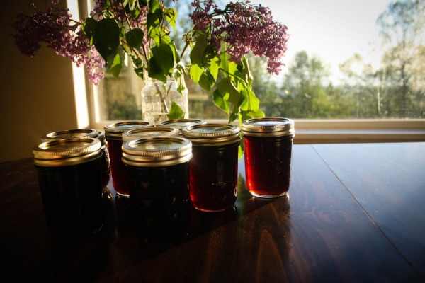 Finished birch syrup. With 10 trees, we ended up with about 6 quarts of syrup.